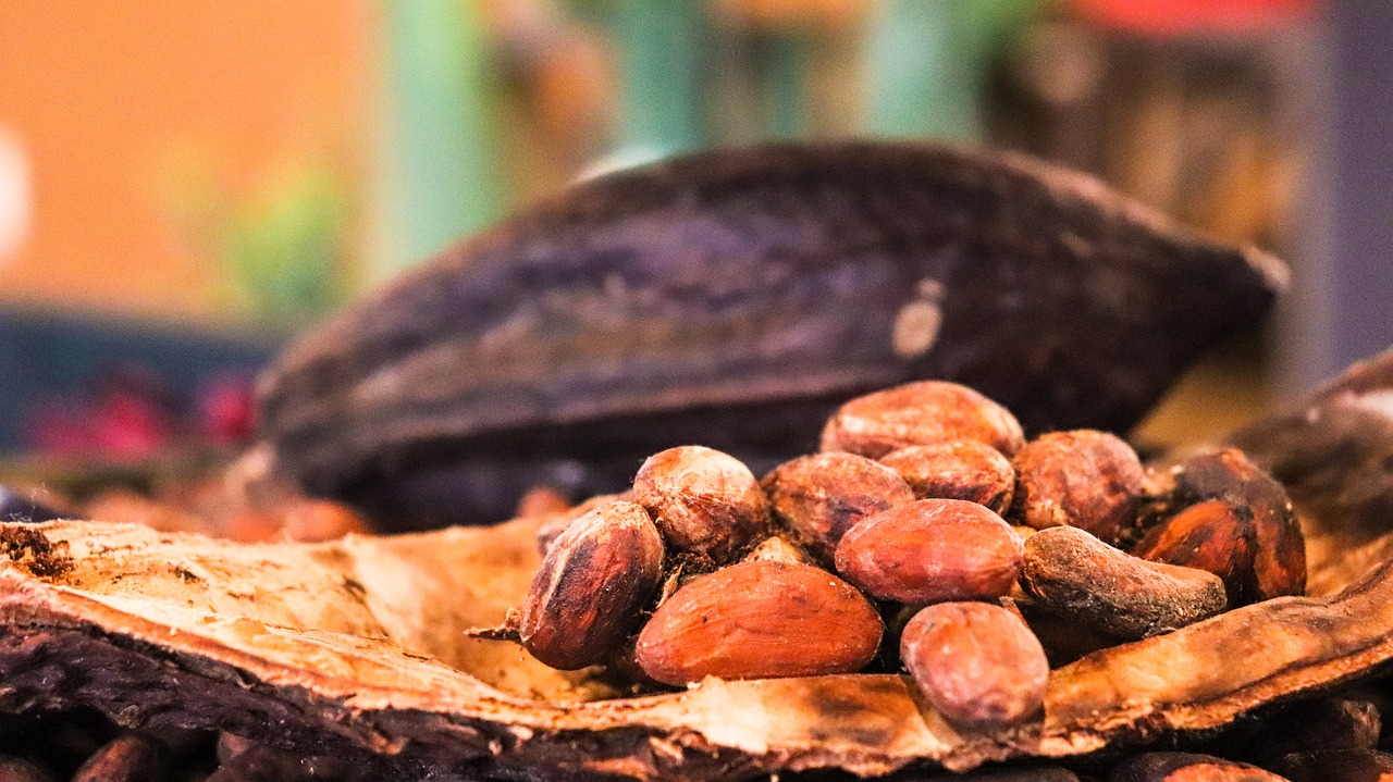 Cocoa Prices Consolidate Below Last Week’s Highs