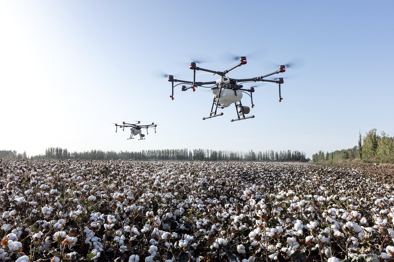 Cotton Slipping Lower at Tuesday’s Midday