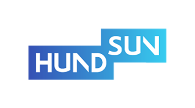 Hundsun logo