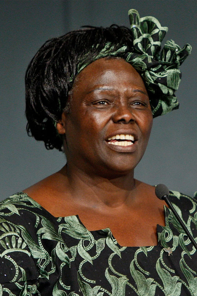 Headshot photography of Wangari Maathai, First African Woman To Win The Nobel Peace Prize.