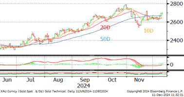 goldTechnical