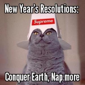 7 Funny New Year’s Resolution Memes To Post On Social Media | Nasdaq