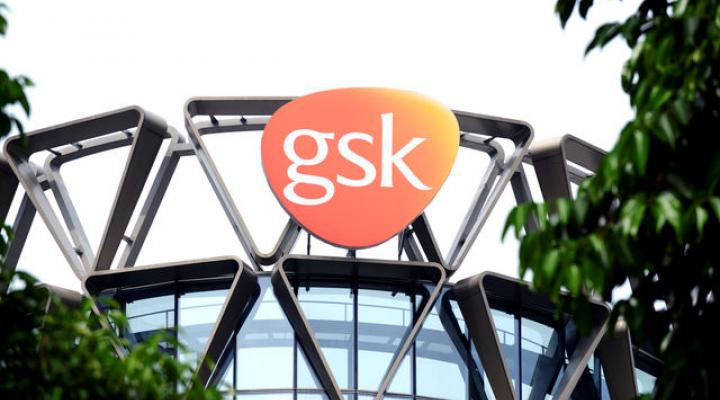 GSK Drug Shown To Help Blood Cancer Patients | Nasdaq