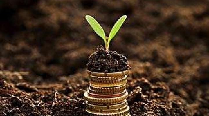 An image of a plant resting on a stack of coins.