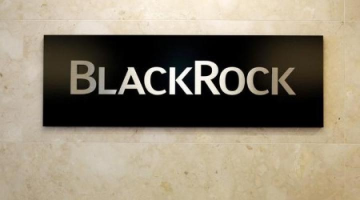 BlackRock Names London-based Executive As New Stewardship Chief | Nasdaq