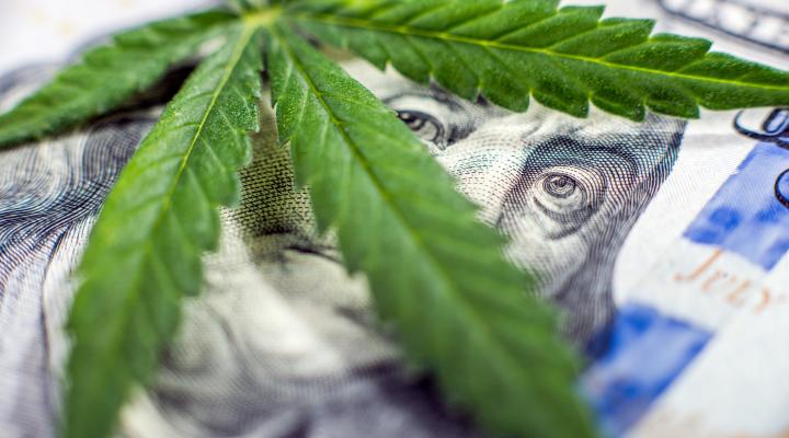 A cannabis leaf lying atop a hundred-dollar bill, with Ben Franklin's eyes peeking out between the leaves.