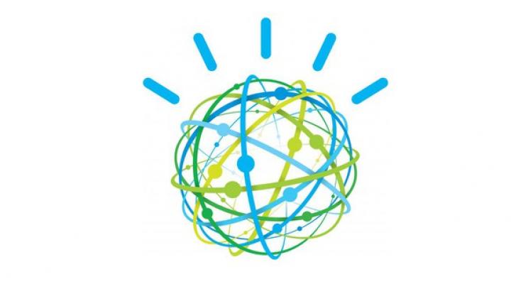 The IBM Watson logo