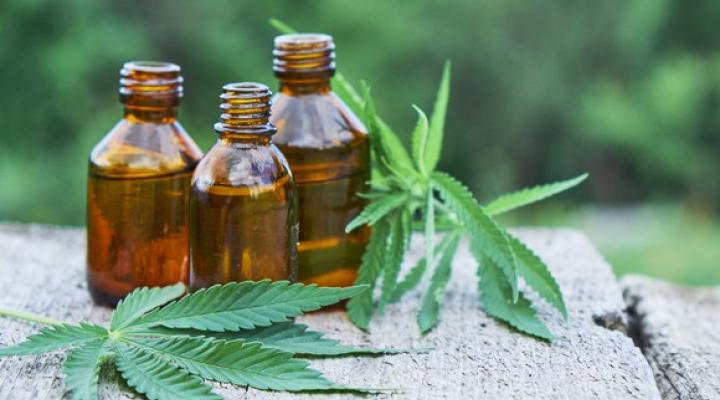 Bottles of hemp oil and hemp leaves sitting on a stone surface.