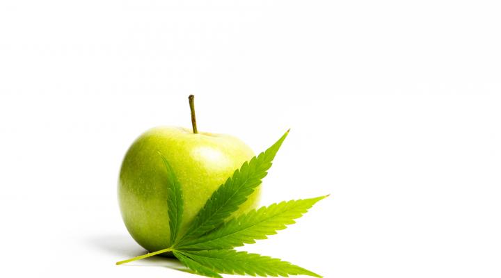 Marijuana leaf in front of a green apple.