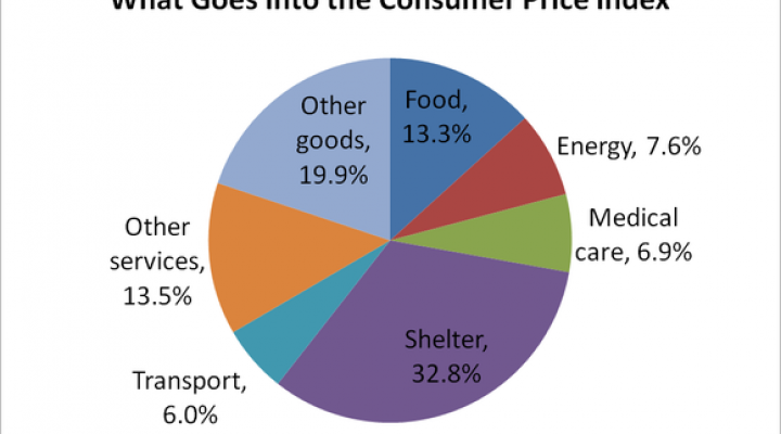 Pie graph showing major components of Consumer Price Index.