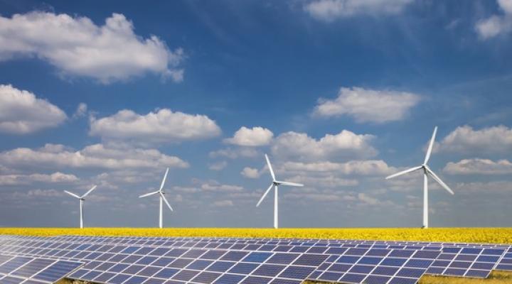 Solar farm in a field with wind turbines in the background. 