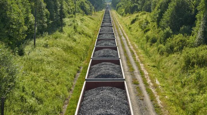 Coal on a train traveling through the woods. 