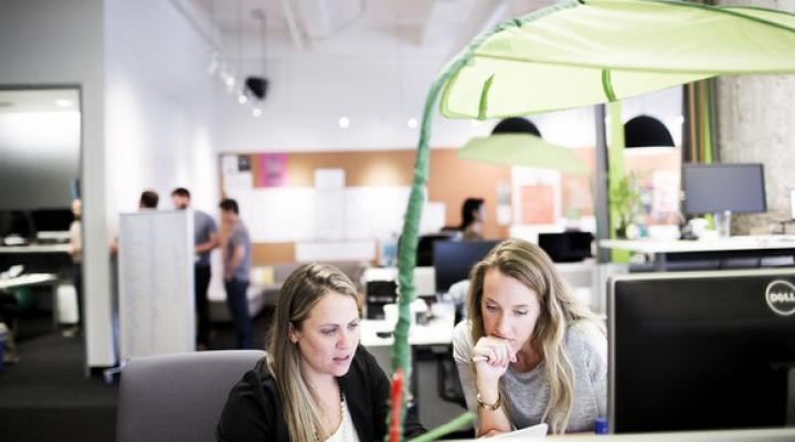 Zendesk employees working at Zendesk offices